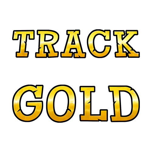 Track n Gold Slot